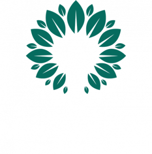 Mind and Soul Counselling Services